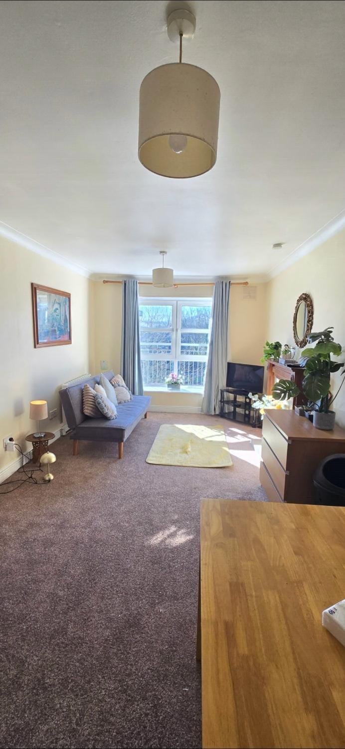 Cosy room in apartment tallaght Vacation rental in Dublin