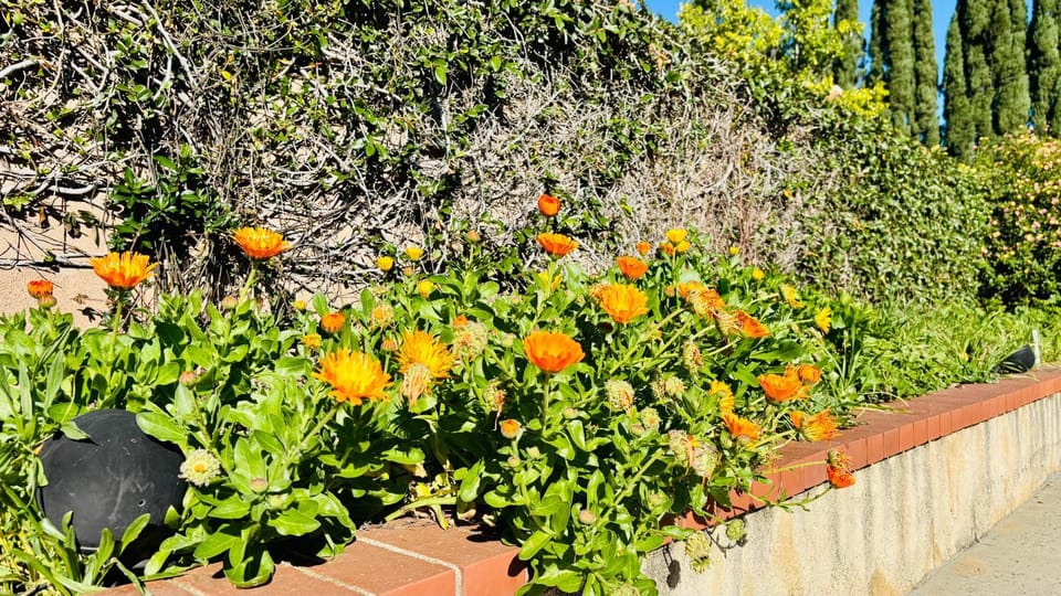 Joshiehome Vacation rental in Rancho Cucamonga