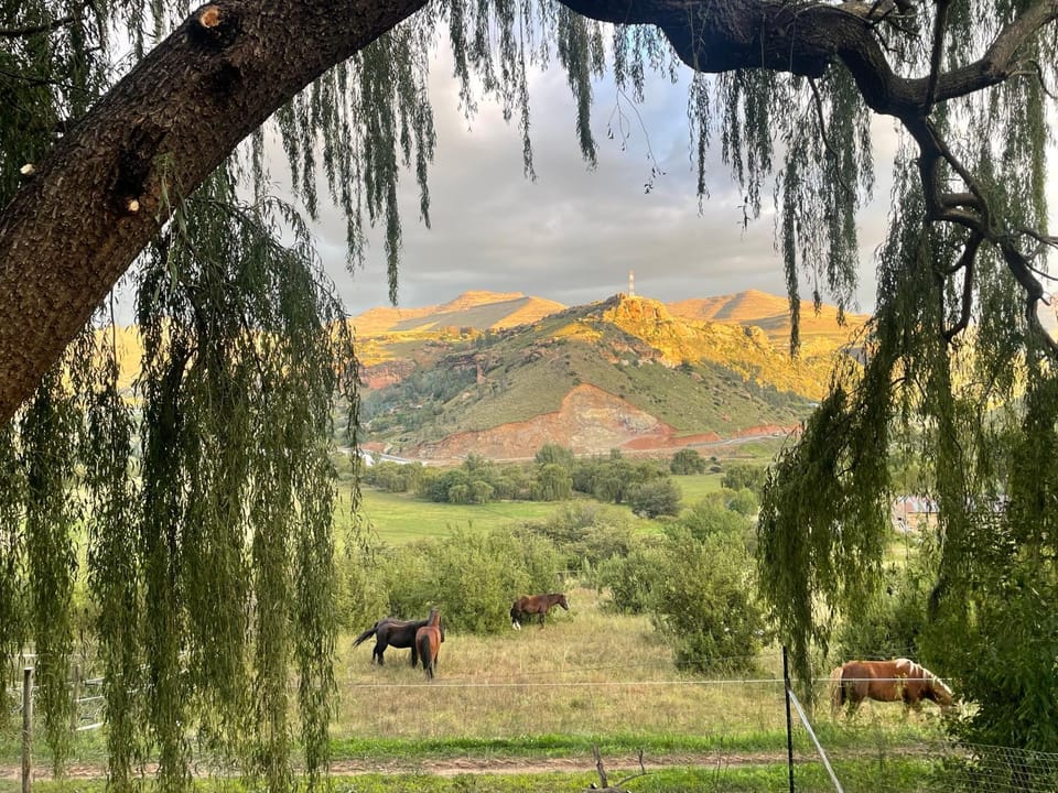 Mountain view