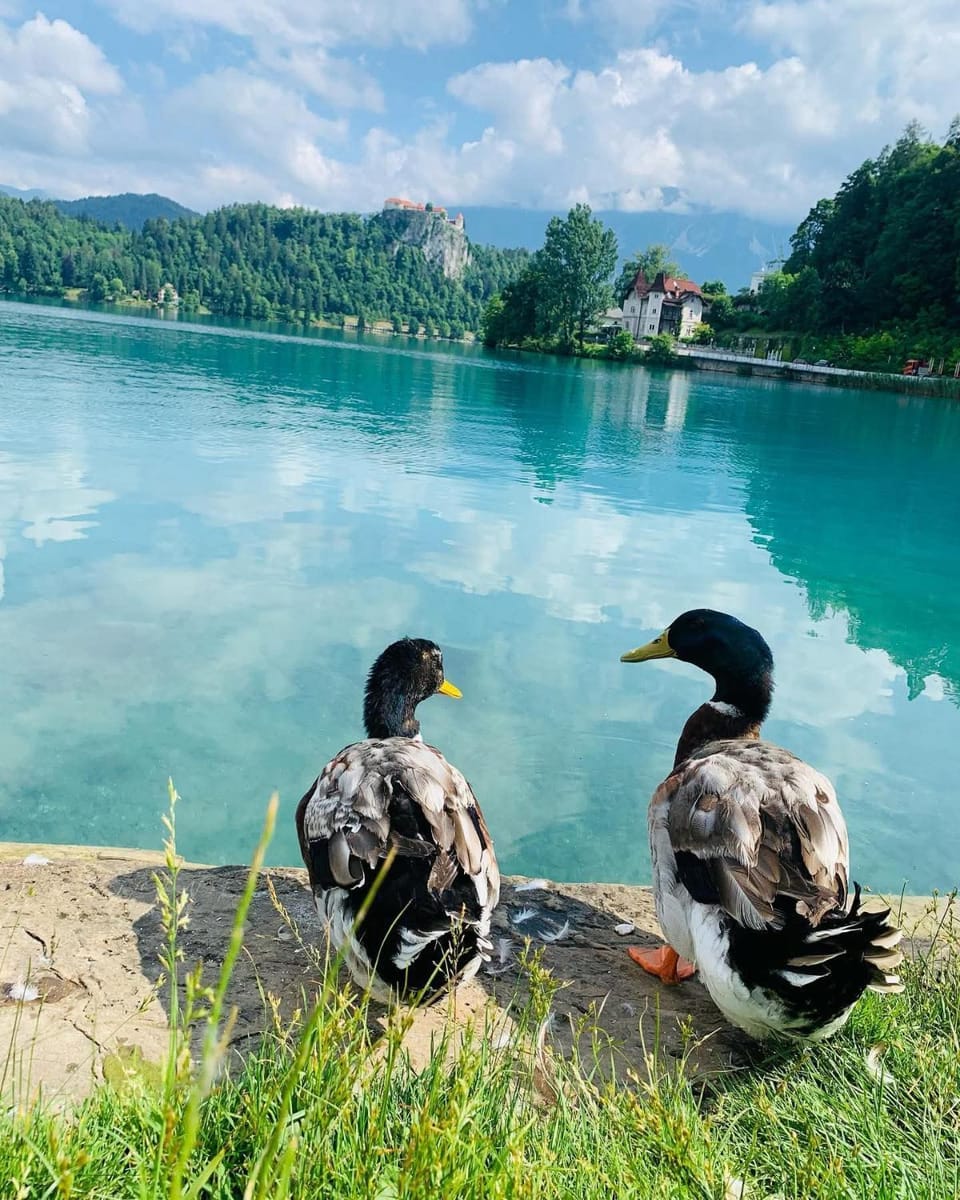Natural landscape, Lake view