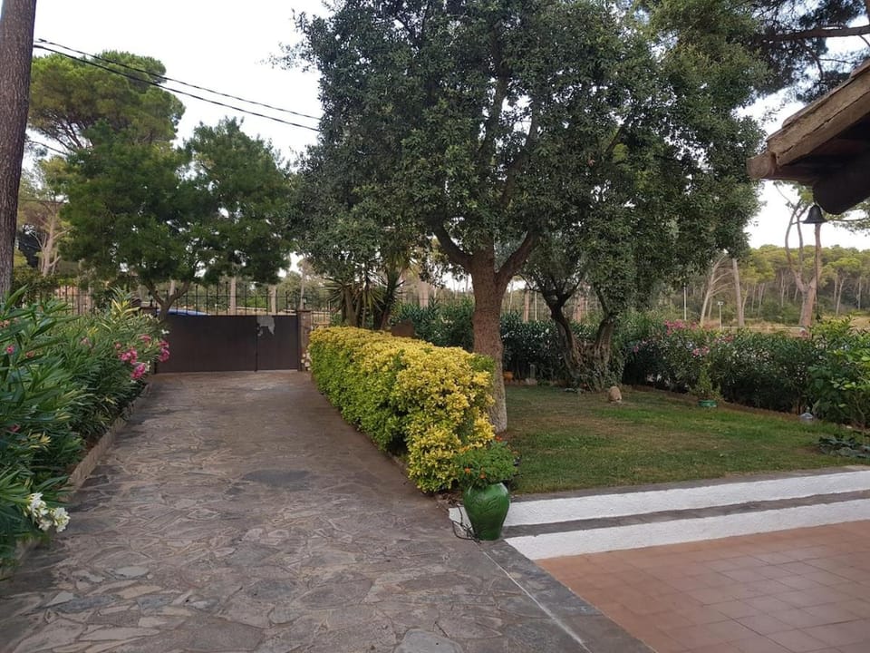 Off site, Garden