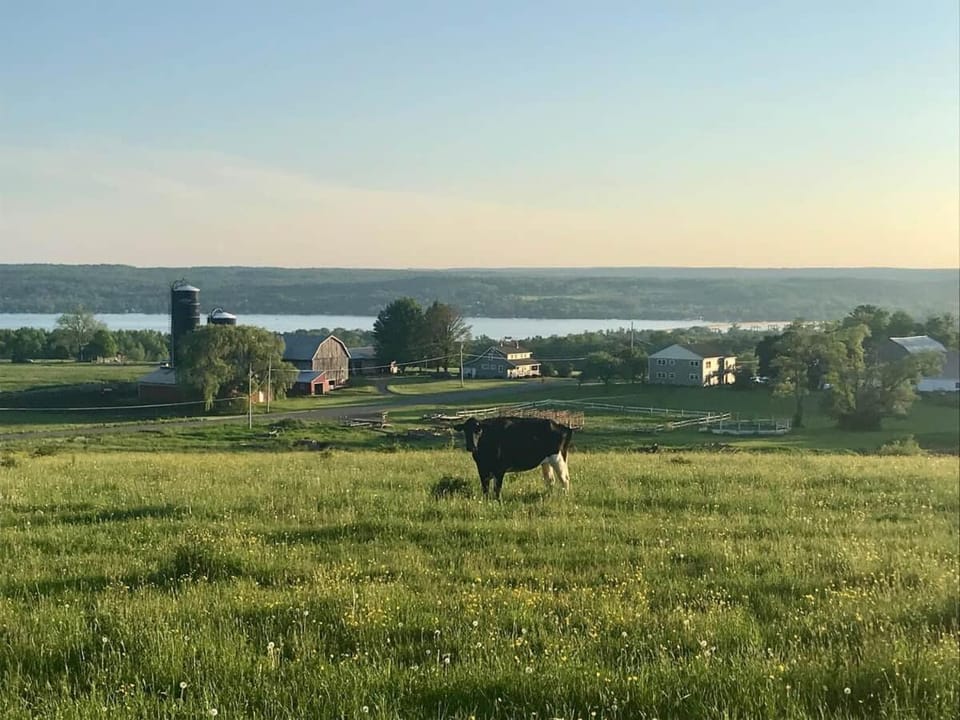 Meadow View Stay at Chautauqua Lake • 1.5 Acres House in North Harmony