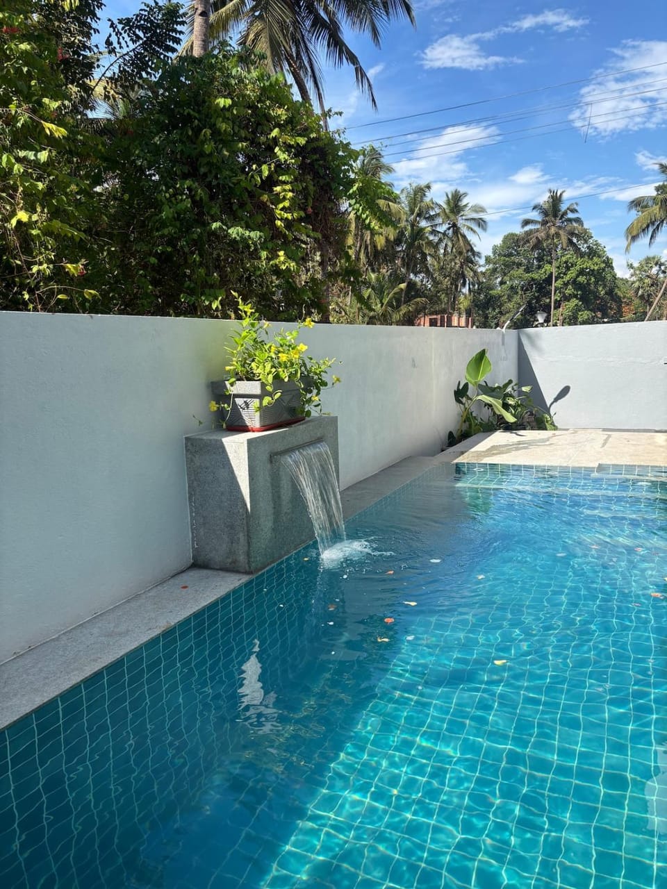 Day, Garden, Garden view, Pool view, Swimming pool