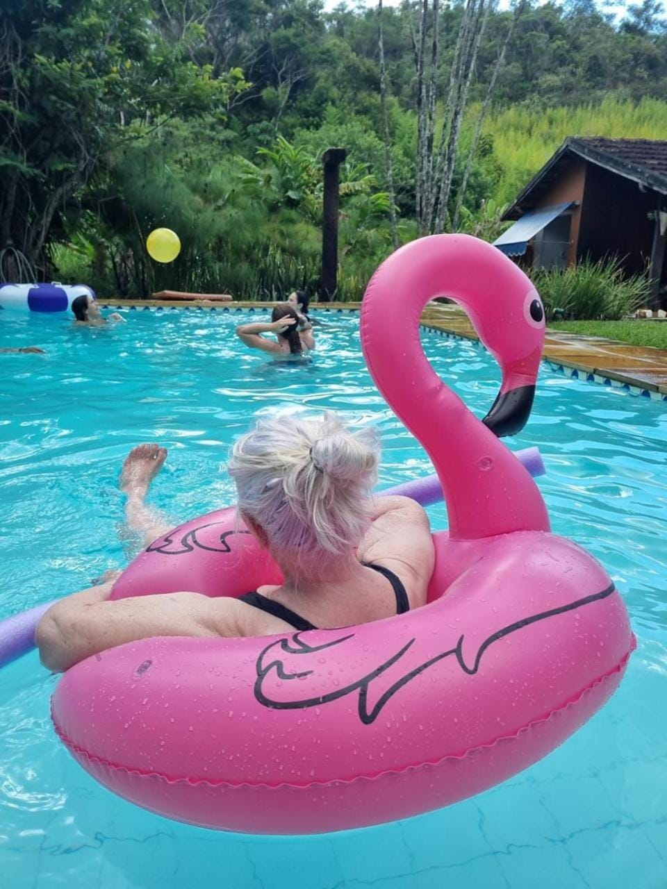 Pool view, Swimming pool