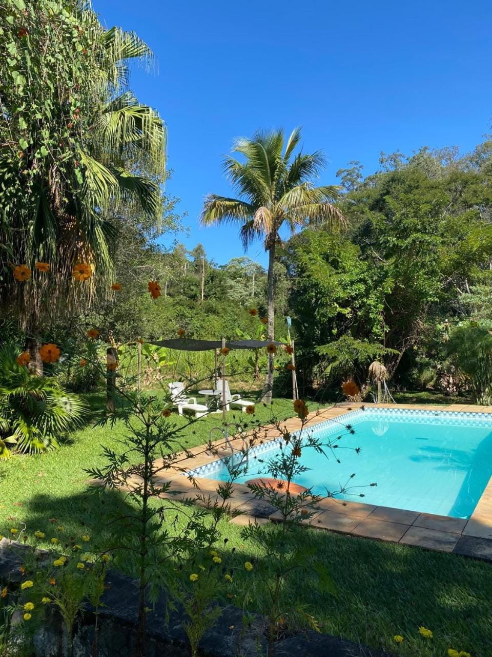 Pool view, Swimming pool