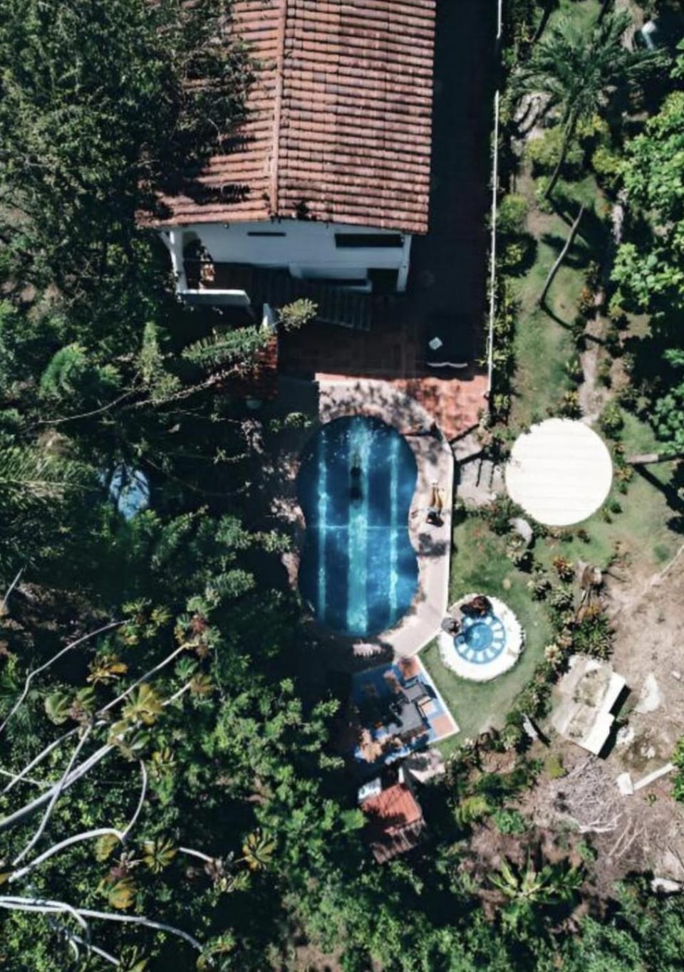 Day, Natural landscape, Garden, Garden view, Pool view, Swimming pool