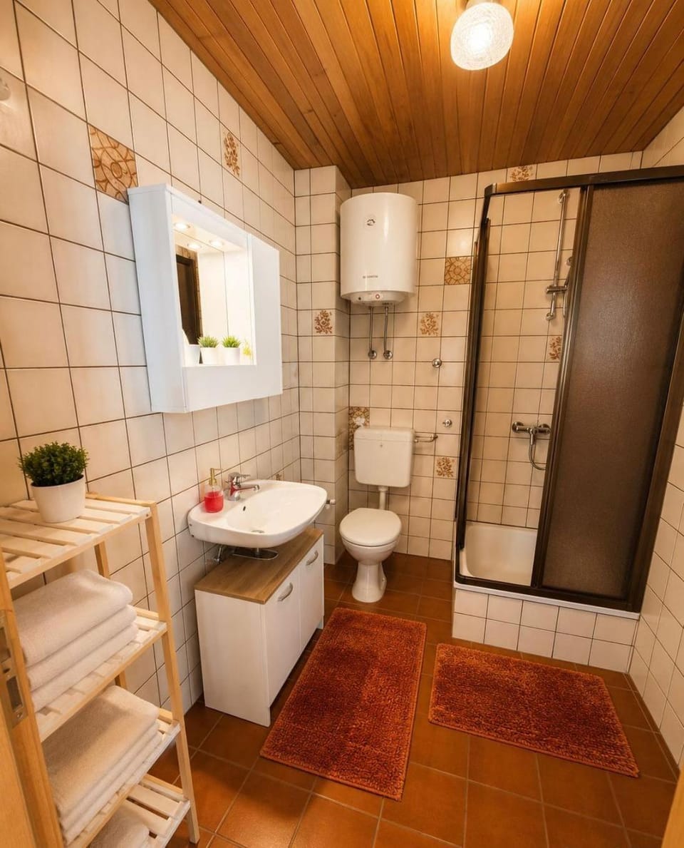 Shower, Toilet, bidet, towels