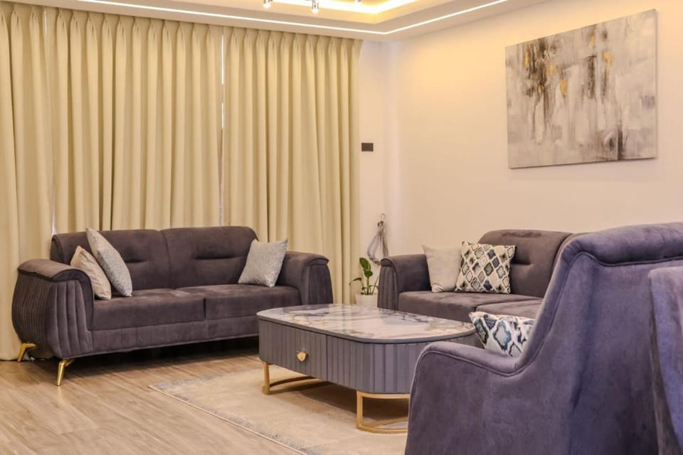 Medtech Luxury Apartment in Bole Apartment in Addis Ababa