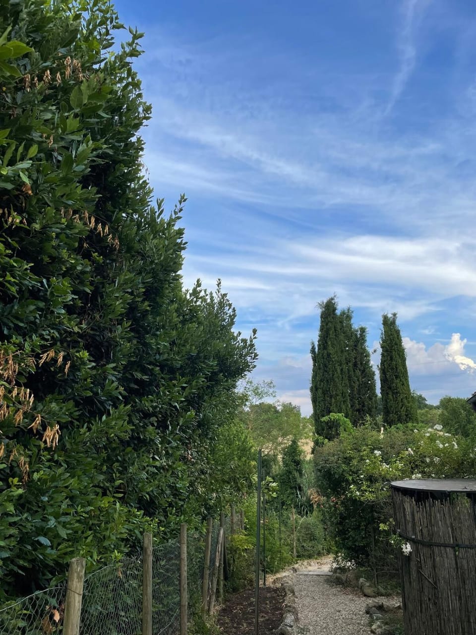 Il Rifugio nel Roseto - Siena Apartment in Siena