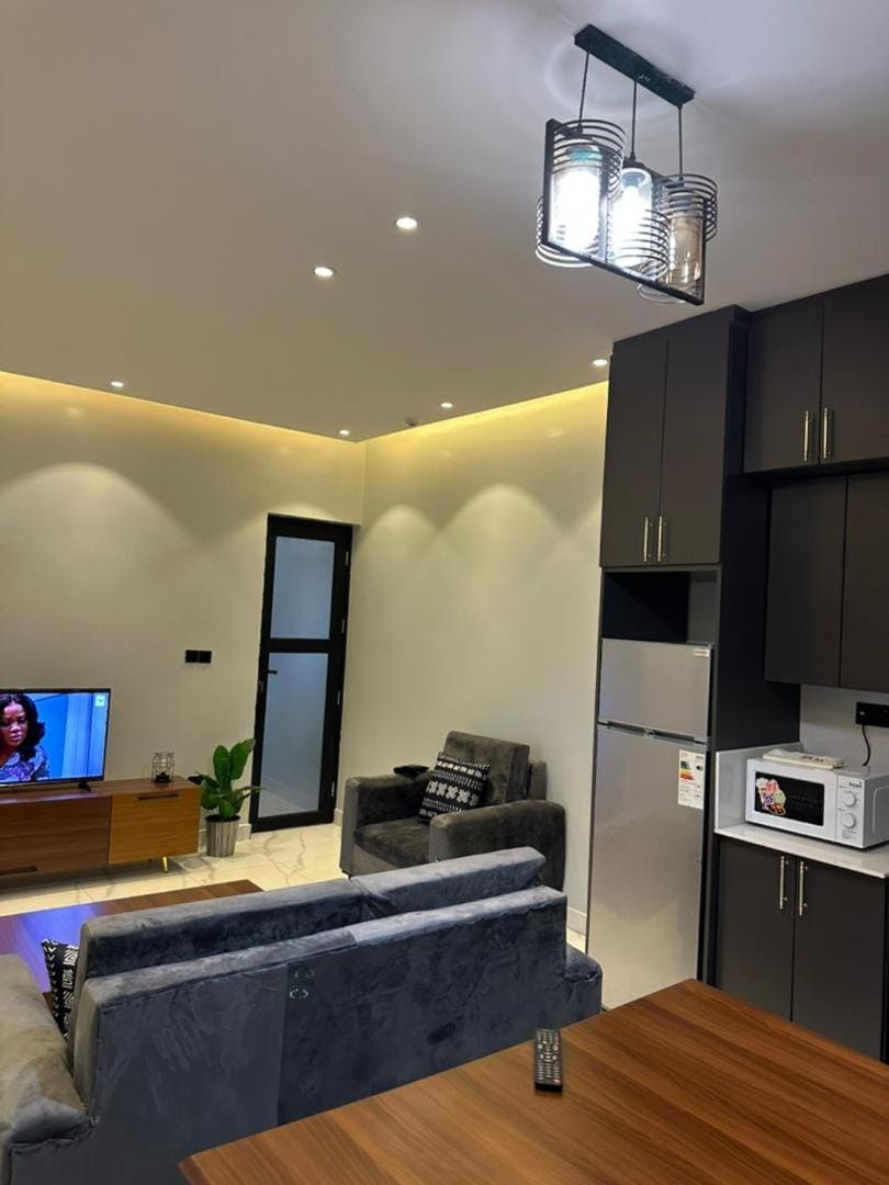 Bright 1BR Apartment Close to Everything Apartment in Africa