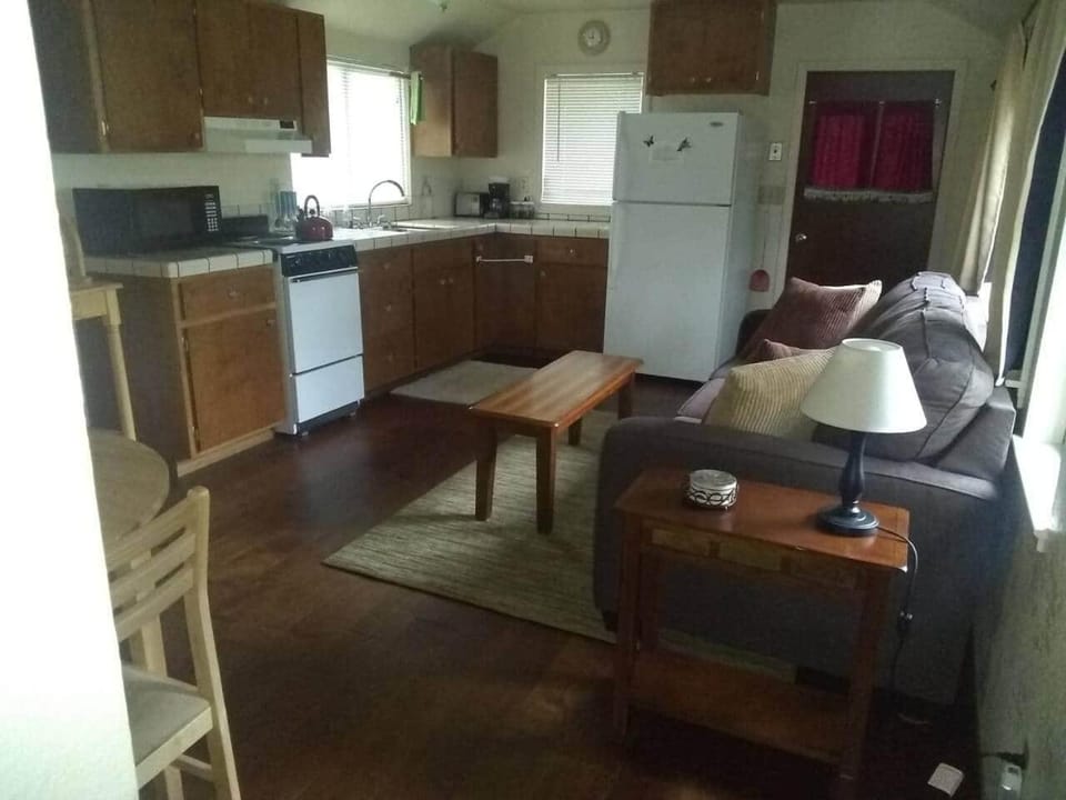 Kitchen or kitchenette, Living room, Seating area, Dining area, oven, toaster