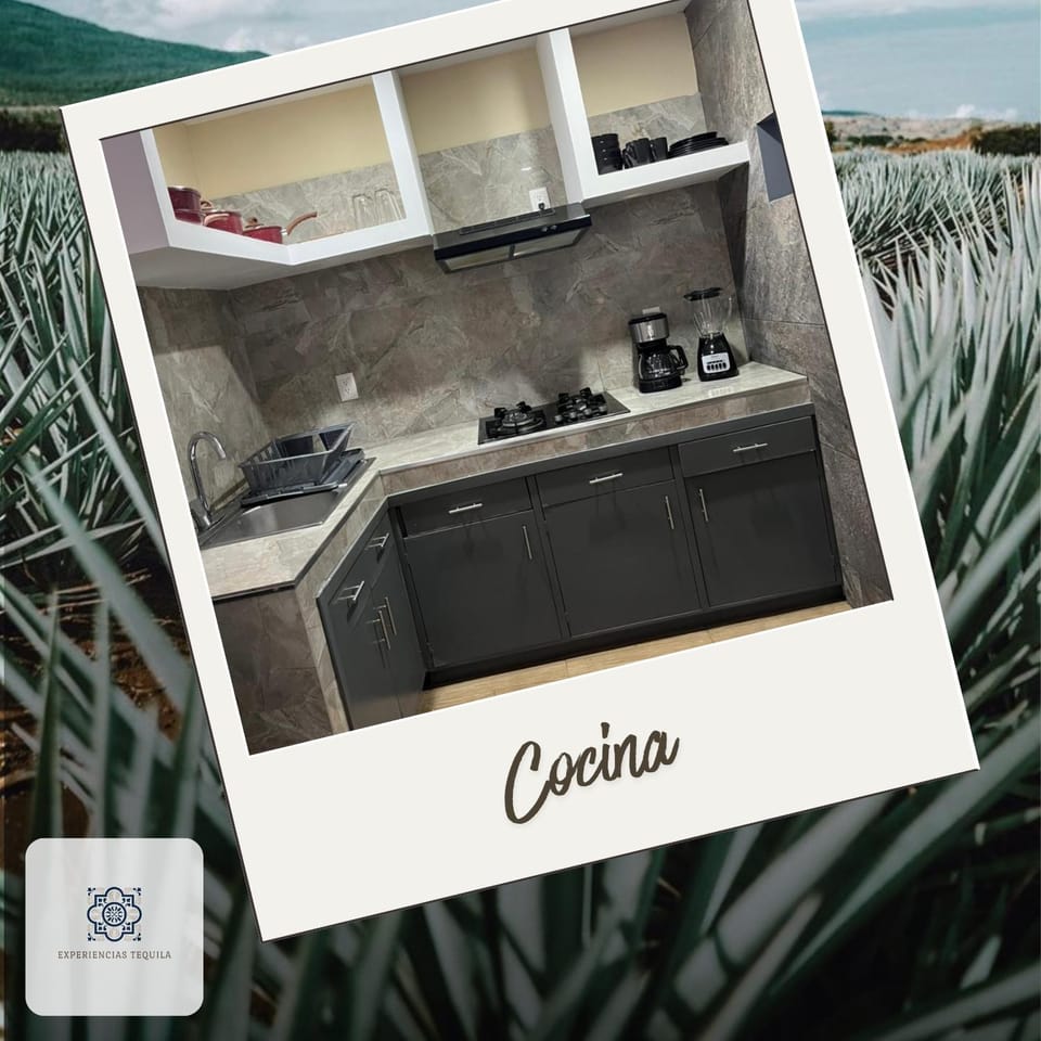 Casa Manuel M Dieguez, Tekilan House in Tequila