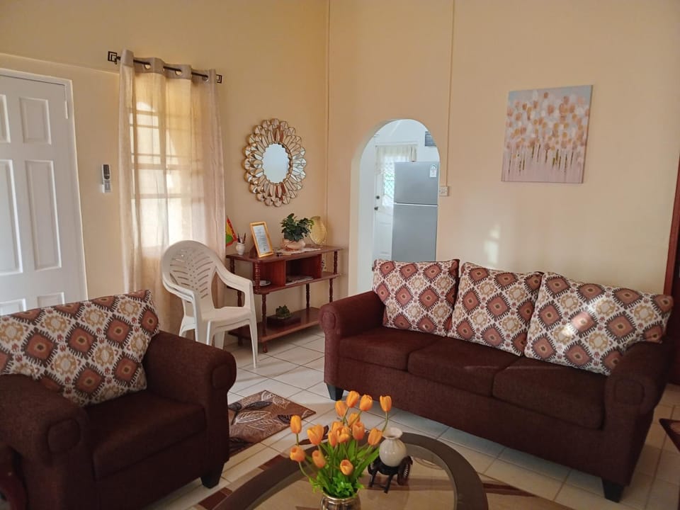 Mars Place House in Saint George