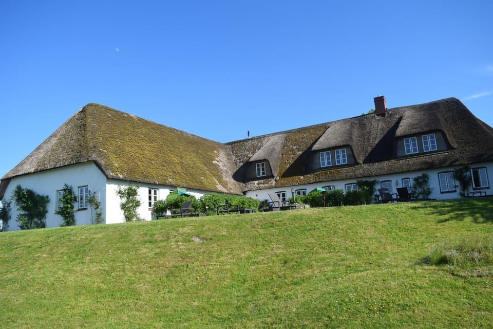 Garden, Balcony/Terrace