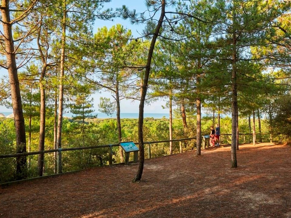 Appartement charmant - 4 pers. forêt proche (44 unités) - FR-1-323-601 Apartment in Saint-Jean-de-Monts