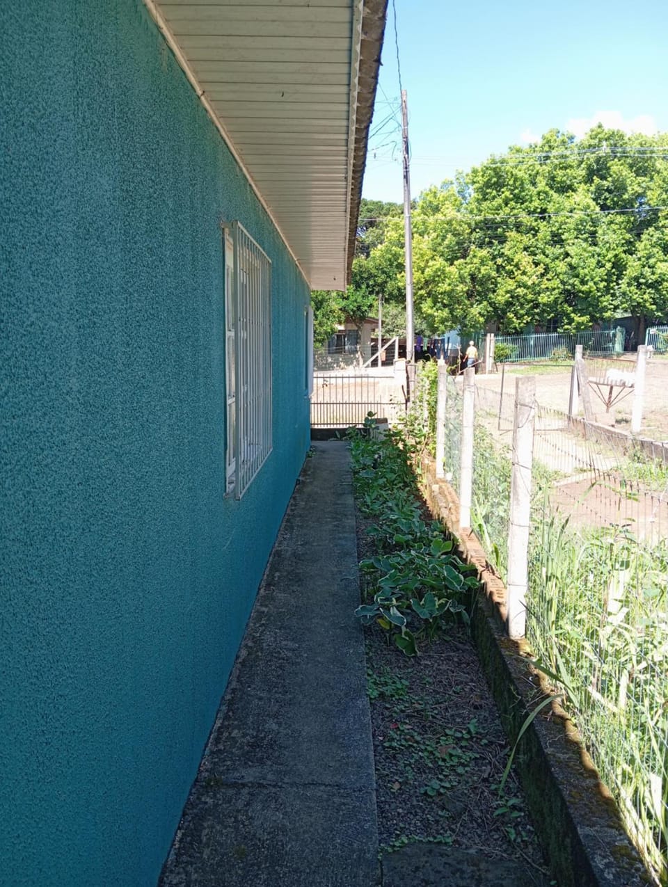Garden view