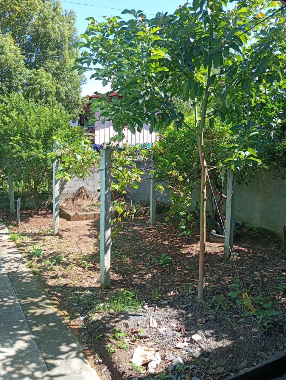 Inner courtyard view