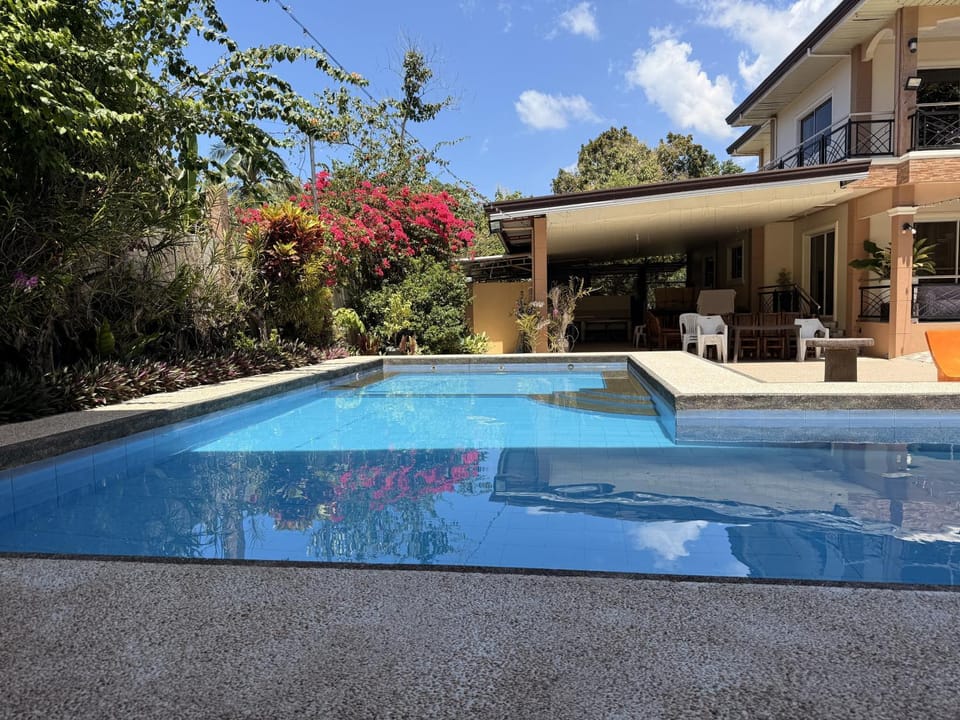 Garden, Swimming pool, Swimming pool