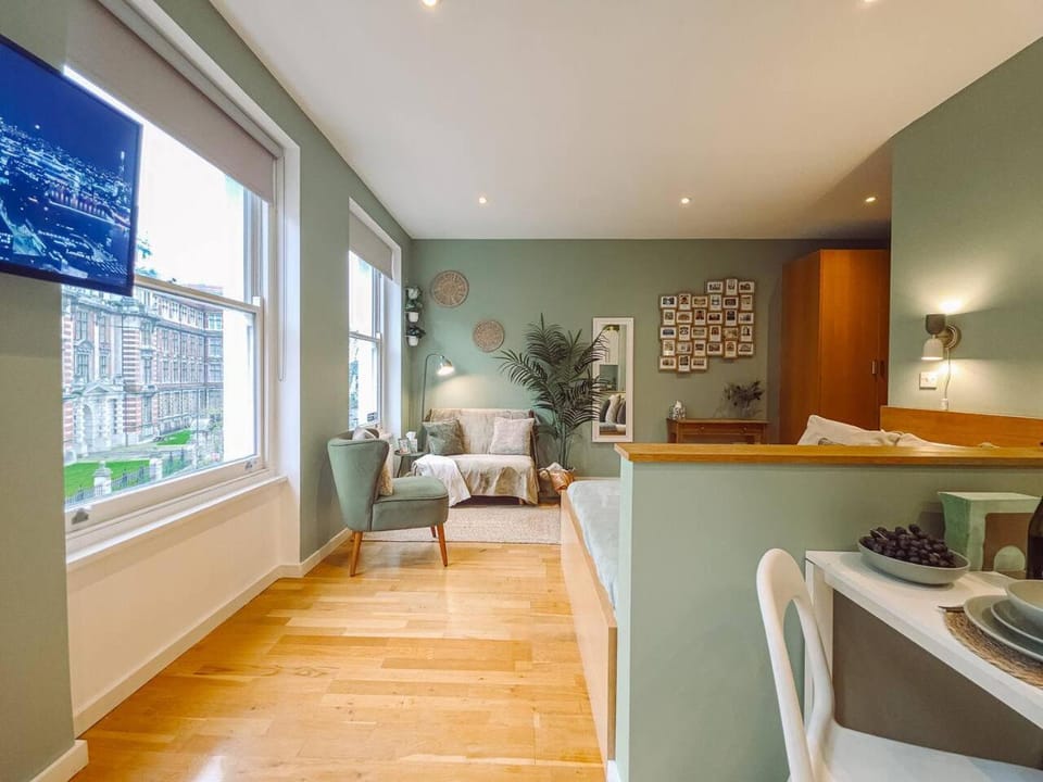 Bed, TV and multimedia, Kitchen or kitchenette, Living room, Photo of the whole room, Seating area, Dining area, Bedroom