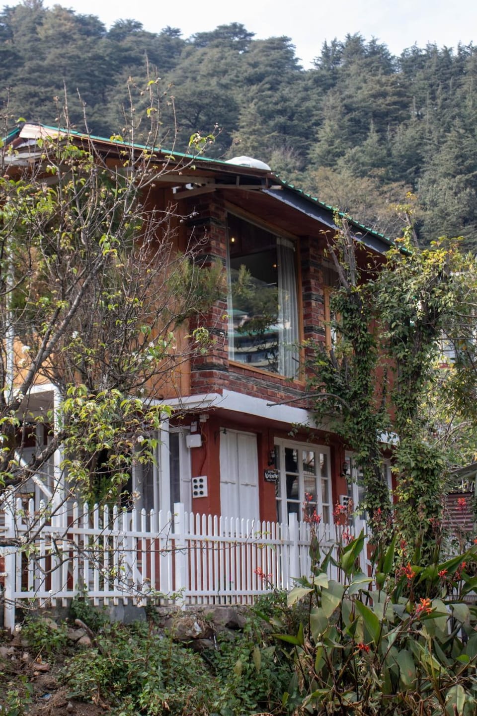 The House that Lived Themed Cottage House in Himachal Pradesh