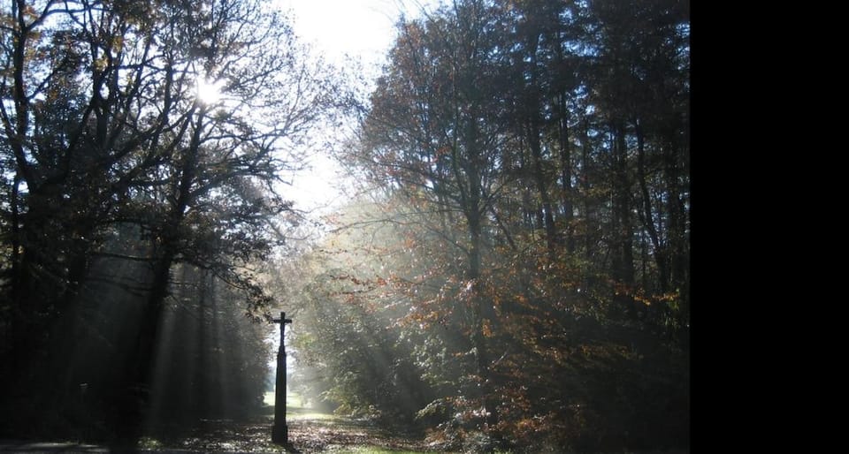 Les logis du Landron Bed and Breakfast in Pays de la Loire