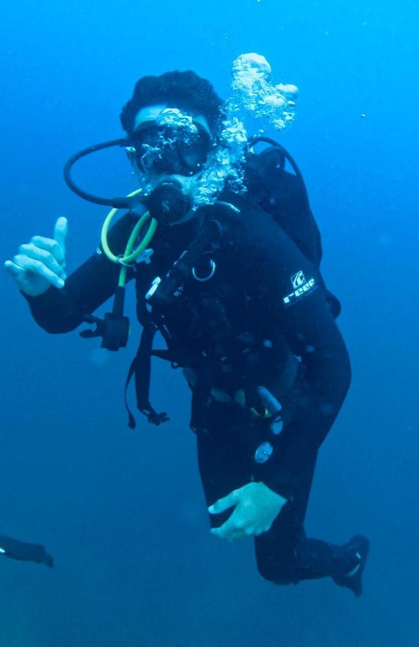 Activities, Diving, Diving