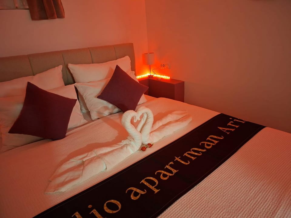 Studio apartman Aria Apartment in Brod-Posavina County, Croatia