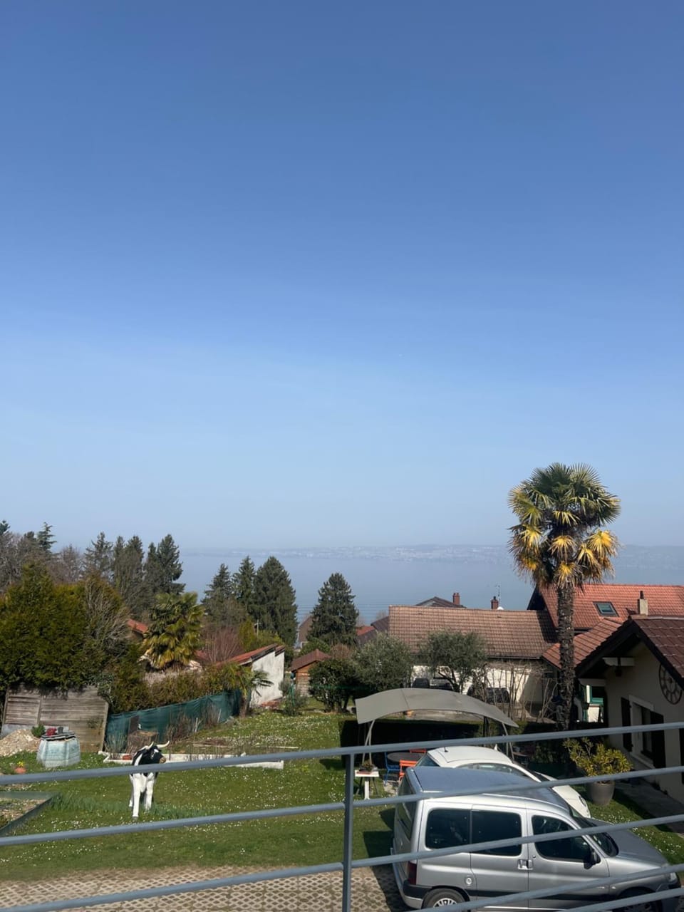 Lake view