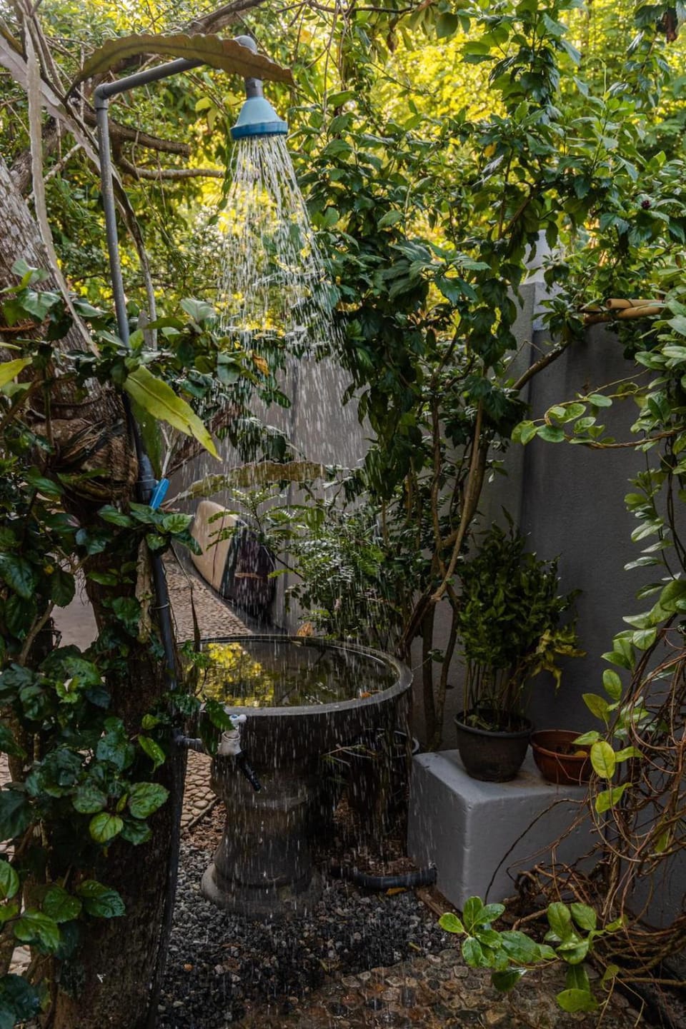 Garden view