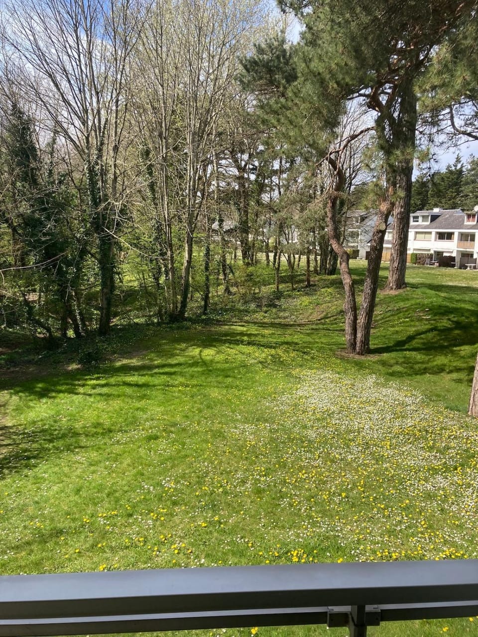Apartment Hardelot Plage 4-6 persons Apartment in Hauts-de-France