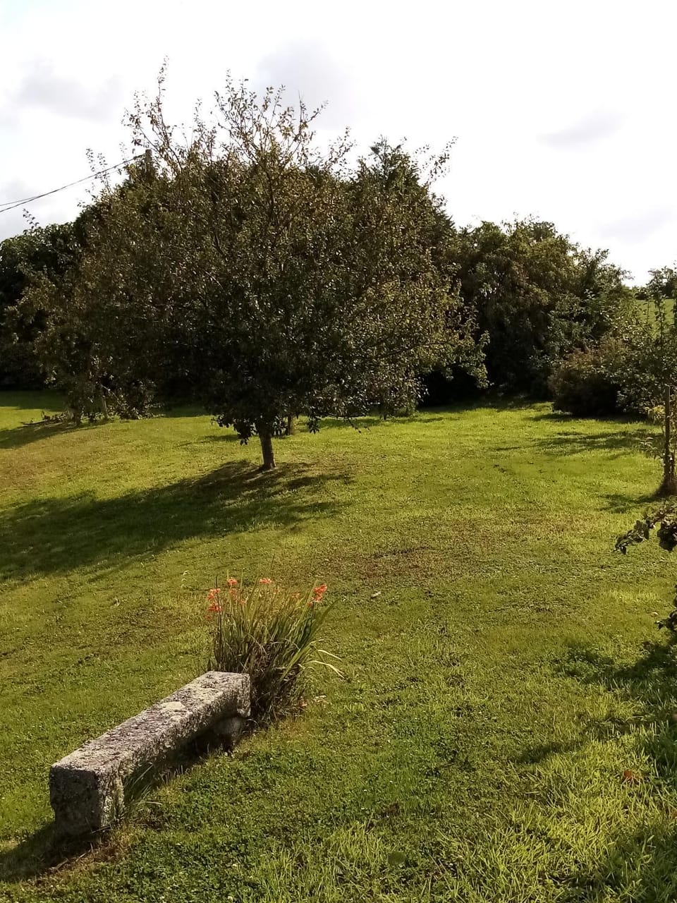 Garden, Garden view