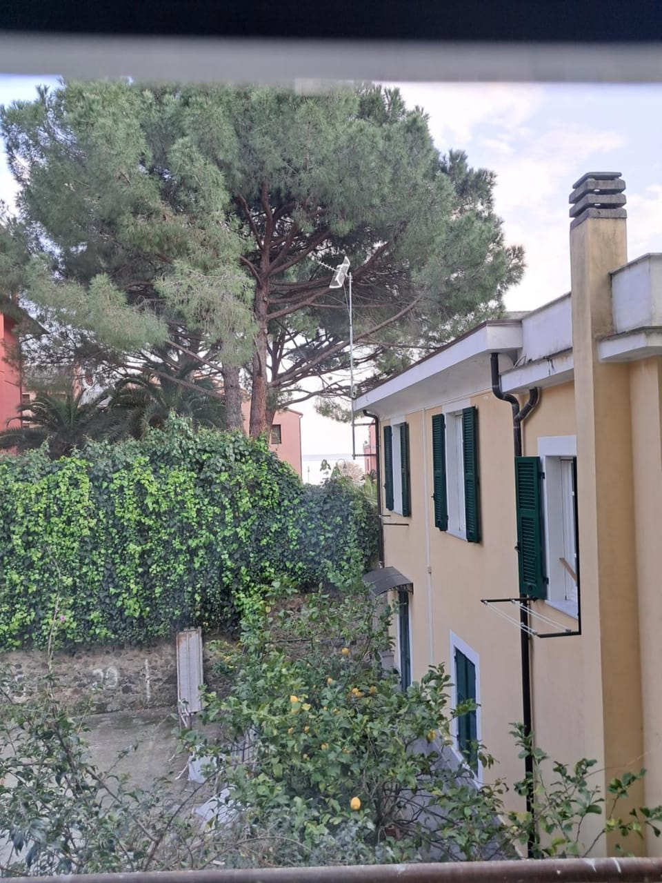 Una finestra sul mare Apartment in Monterosso al Mare