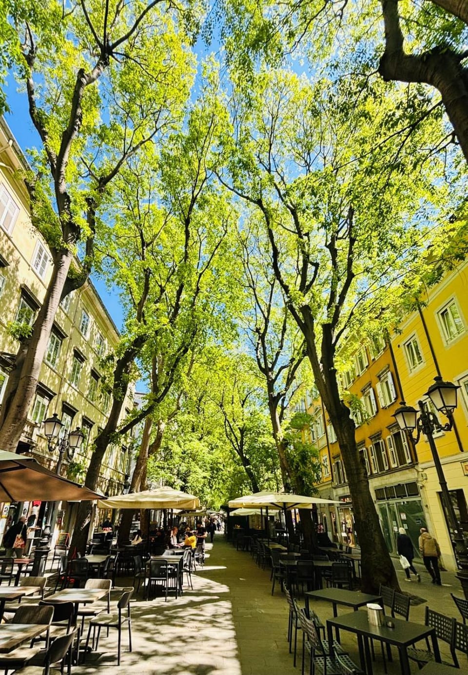Restaurant/places to eat, Neighbourhood, City view, Location