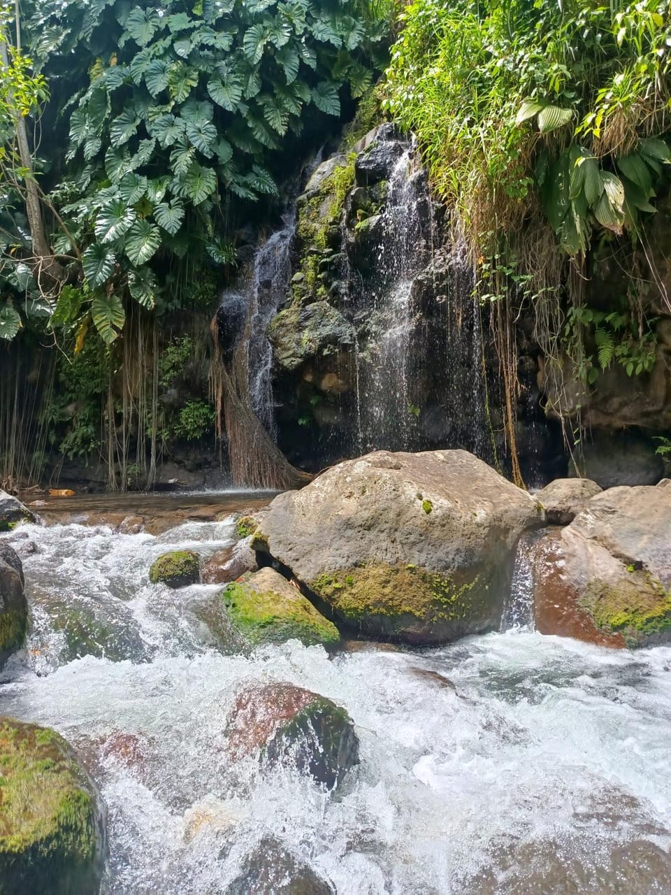 Domaine des Rivières Sauvages d'Ovilia House in Leeward Islands
