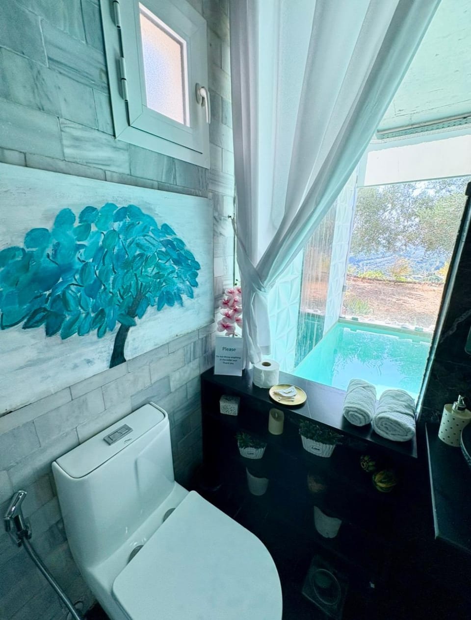 Toilet, Bathroom, Pool view