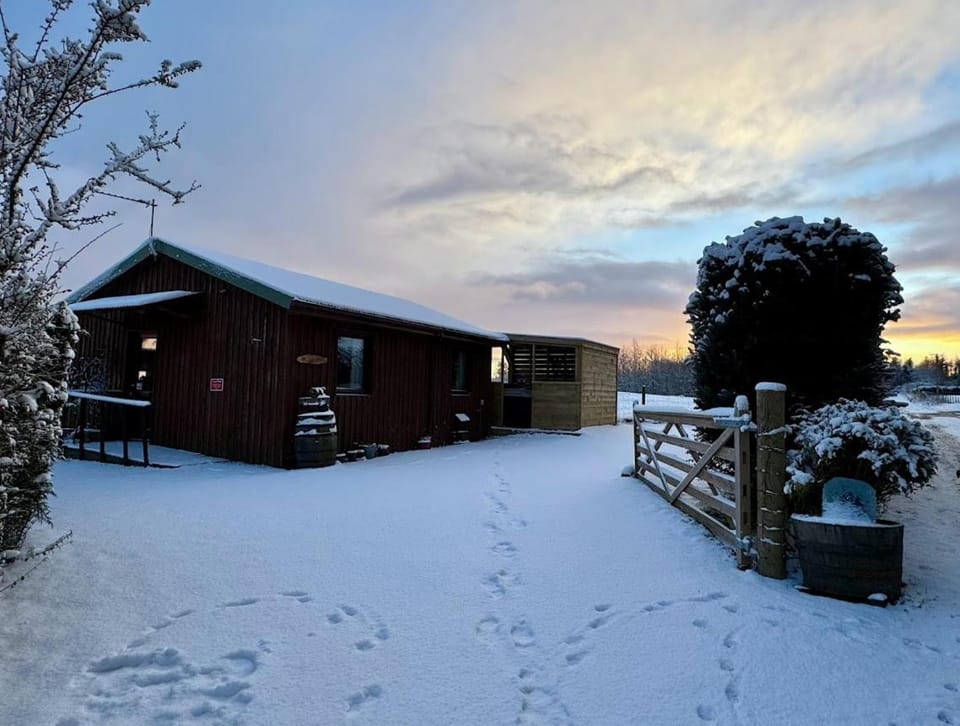Black Isle Pods & Chalet Chalet in Scotland