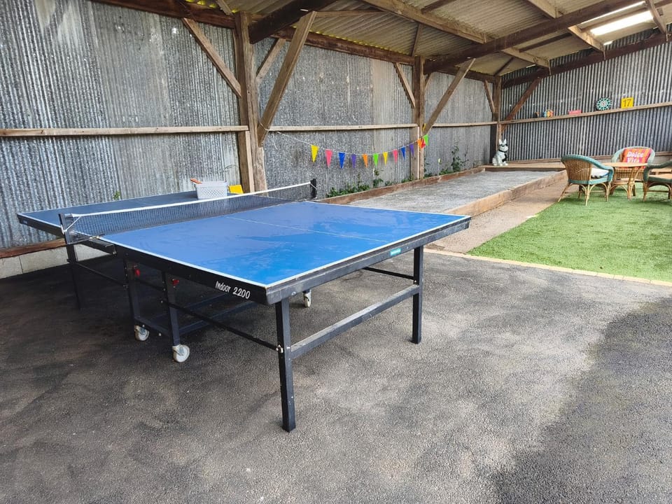Table tennis