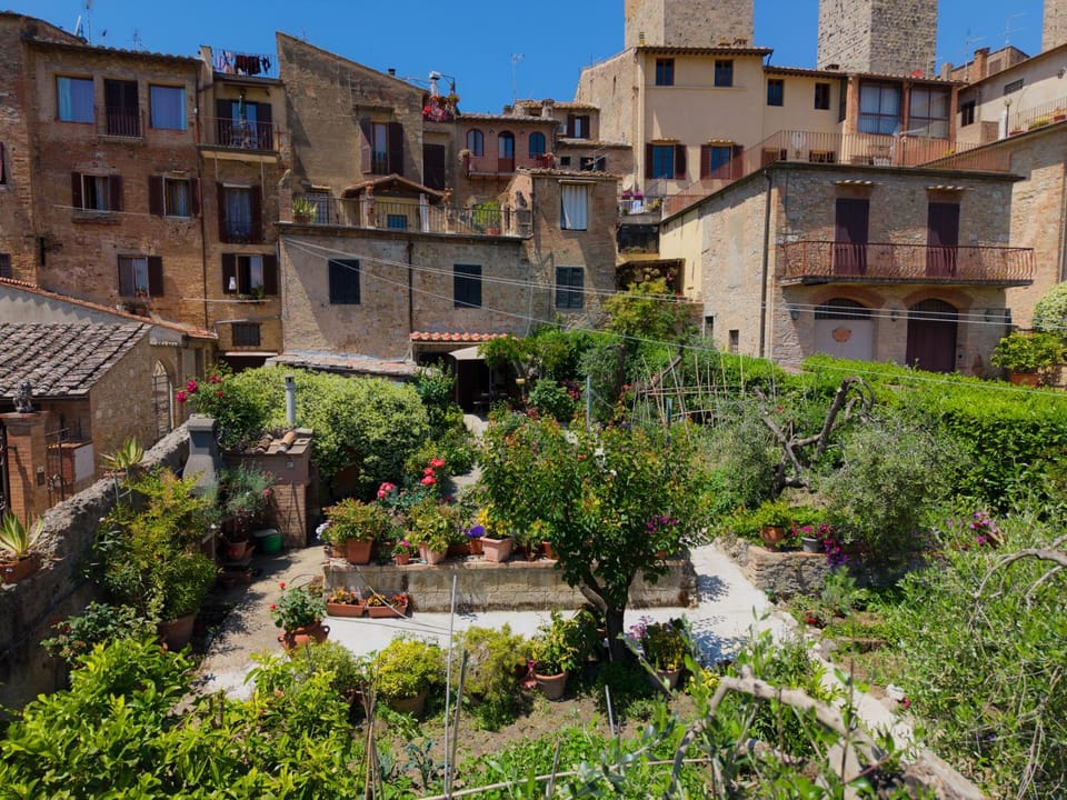 Spring, Day, Garden, City view