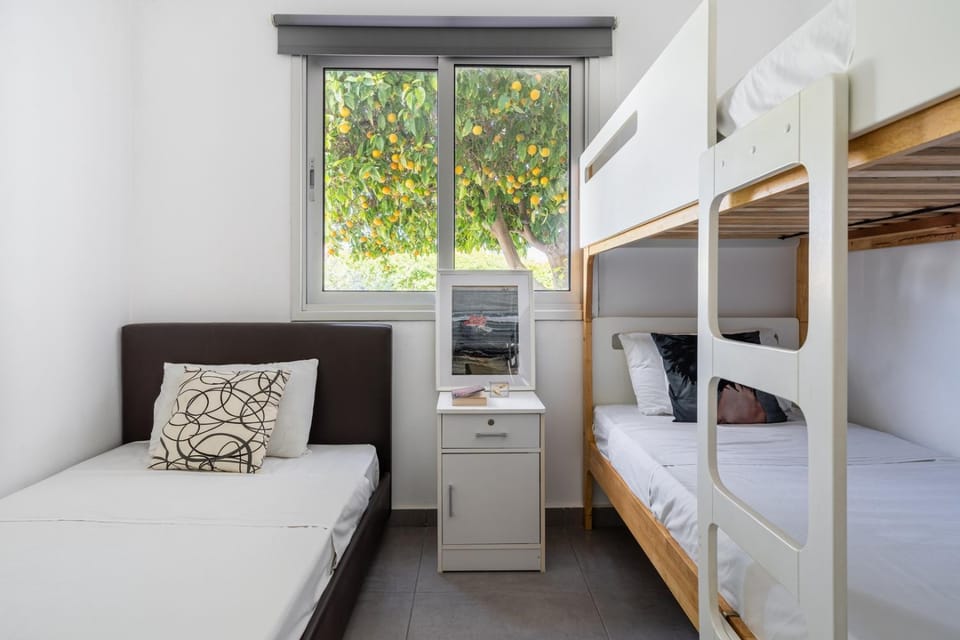 Bed, Photo of the whole room, Bedroom, bunk bed