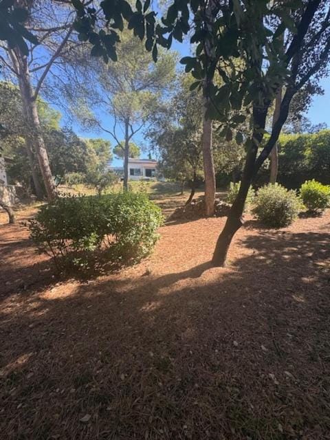 Villa Pool 2500 m Land Air-conditioning Absolute Calm Villa in Nimes