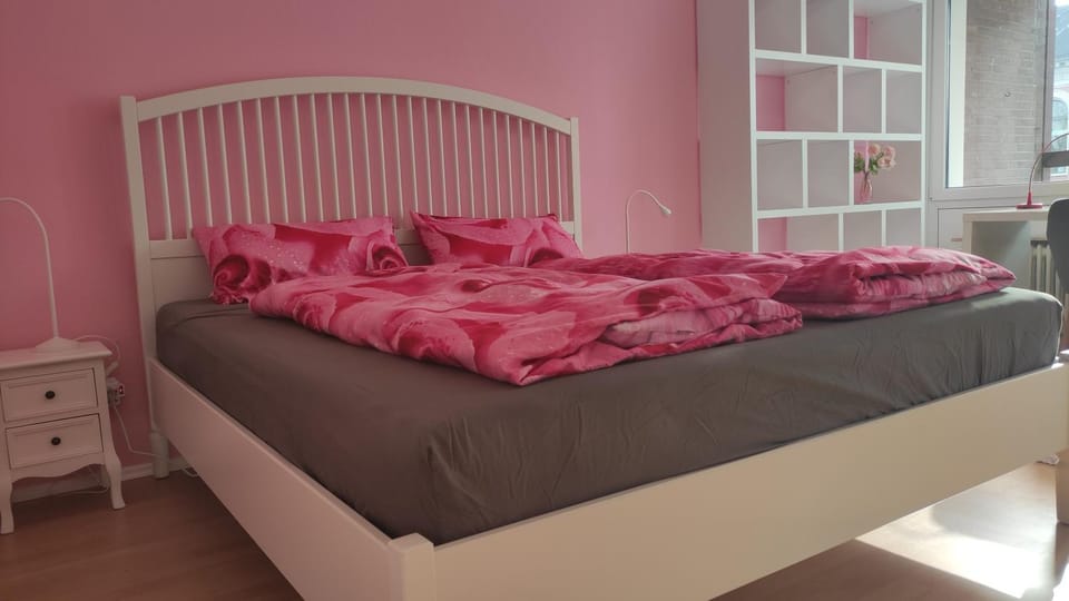 Ferienwohnung mit Workspace, Parkplatz, Balkon und Aufzug mitten in Oldenburg Apartment in Oldenburg