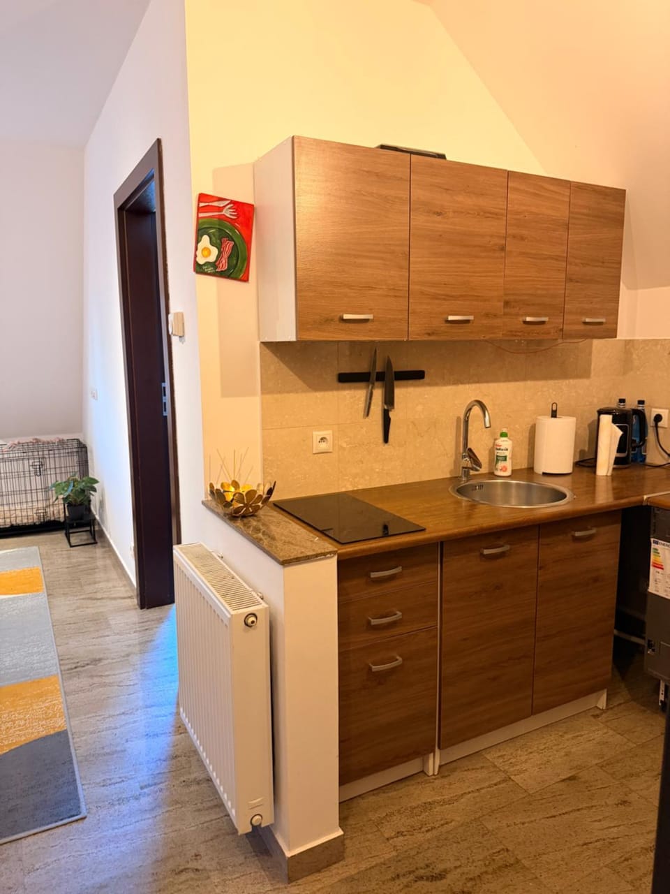 Apartament św Michała Apartment in Greater Poland Voivodeship