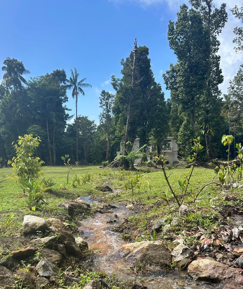 Natural landscape