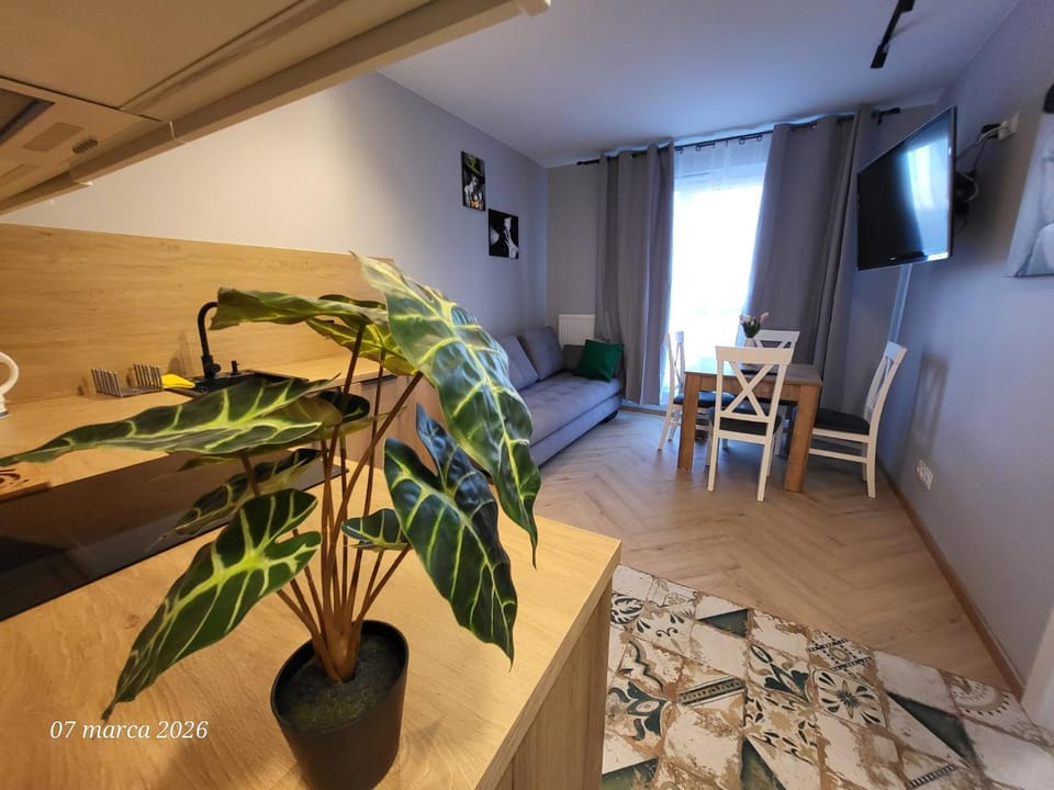 Communal lounge/ TV room, TV and multimedia, Living room, Seating area, Dining area, Evening entertainment