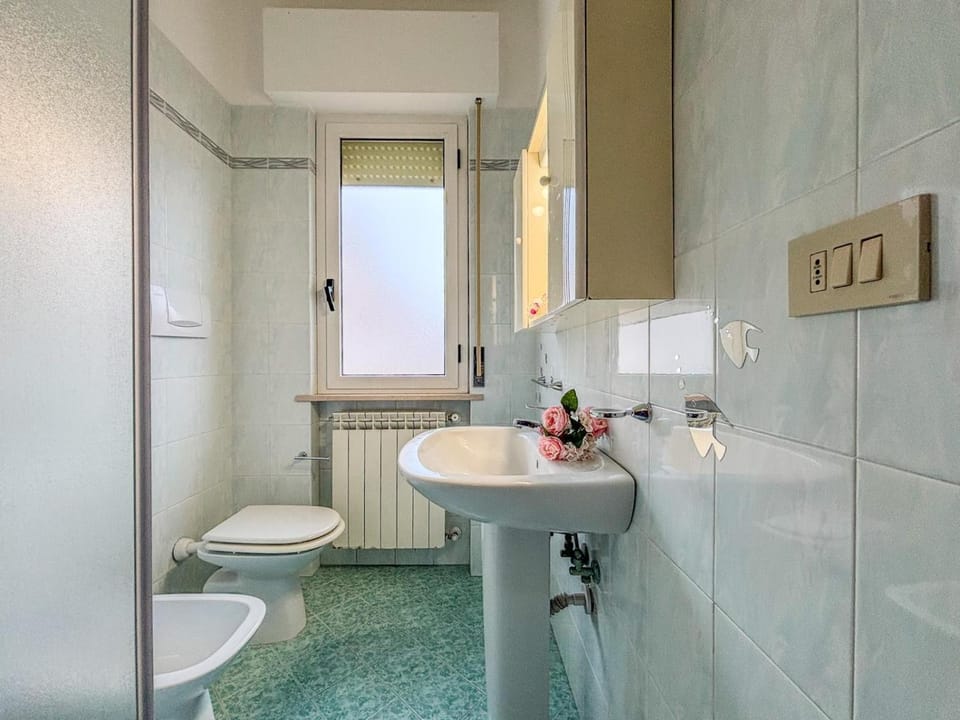 Toilet, Bathroom, bidet