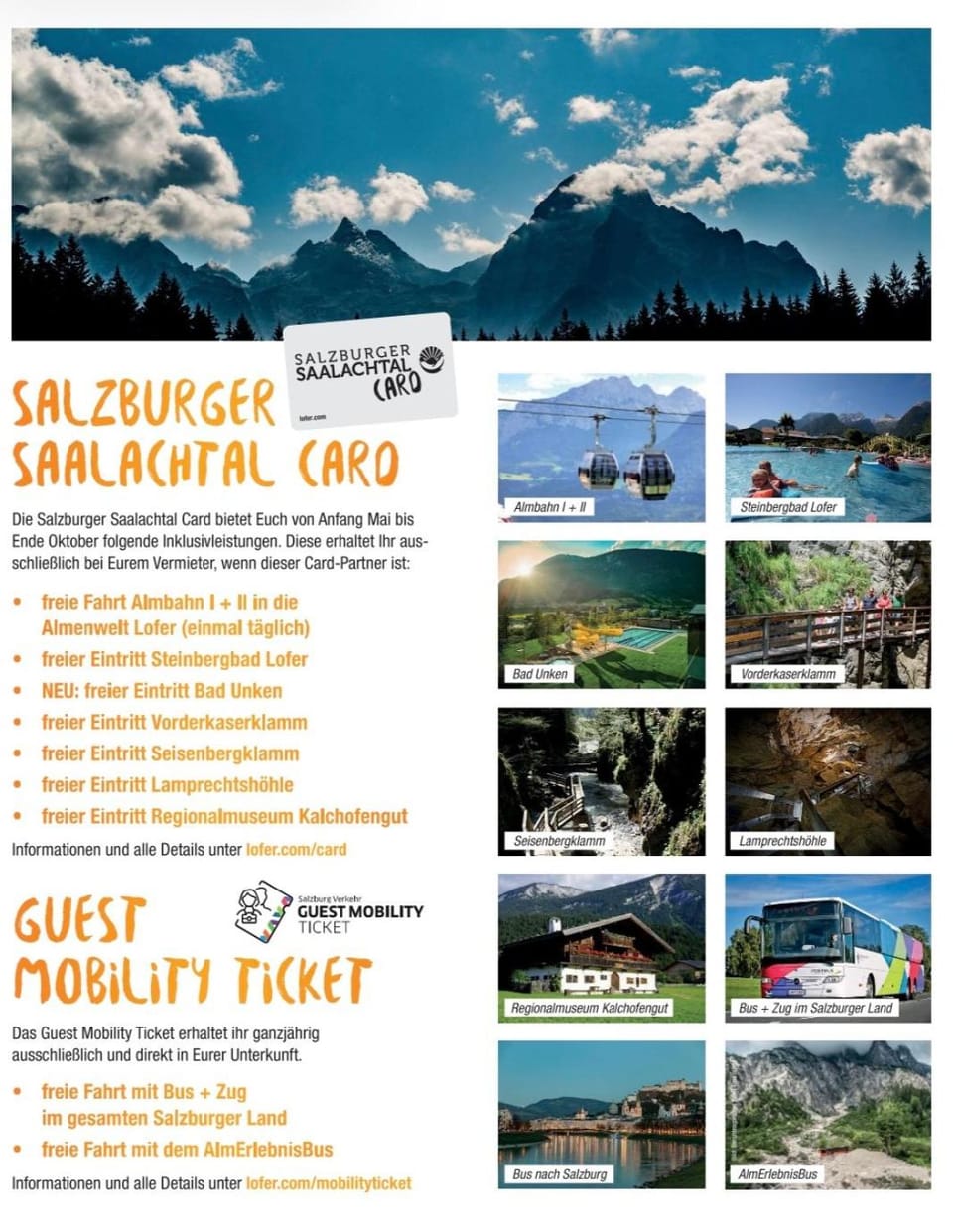 Tonis Appartements Lofer - Sylt Ferienwohnung mit Pool & Bergblick Apartment in Berchtesgadener Land