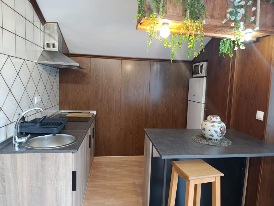 Kitchen or kitchenette, Dining area, stove, kitchen
