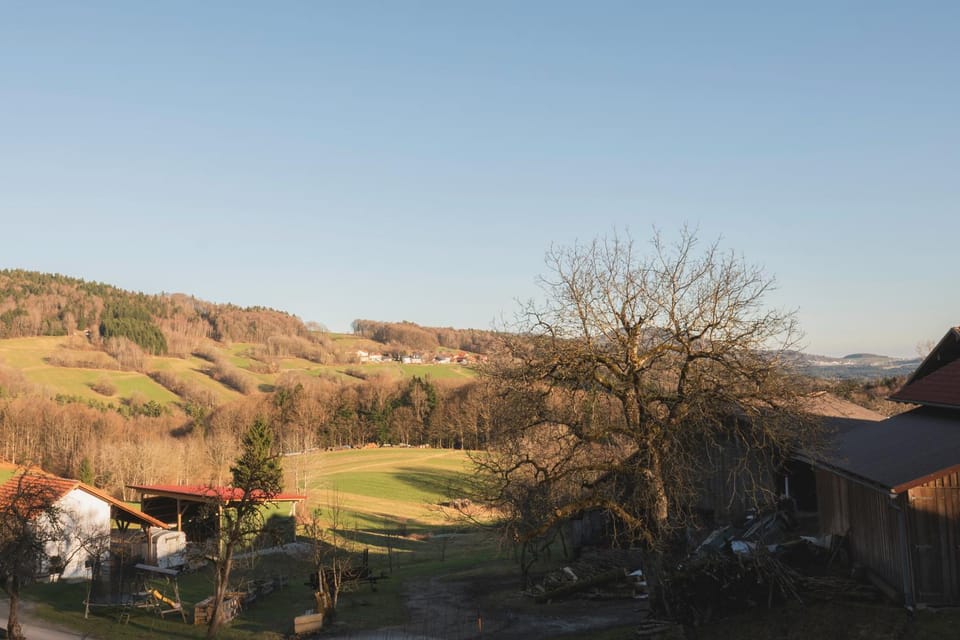Day, Natural landscape, View (from property/room)