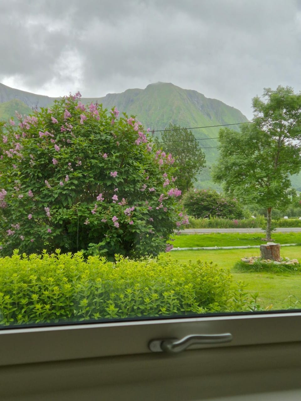 View (from property/room)