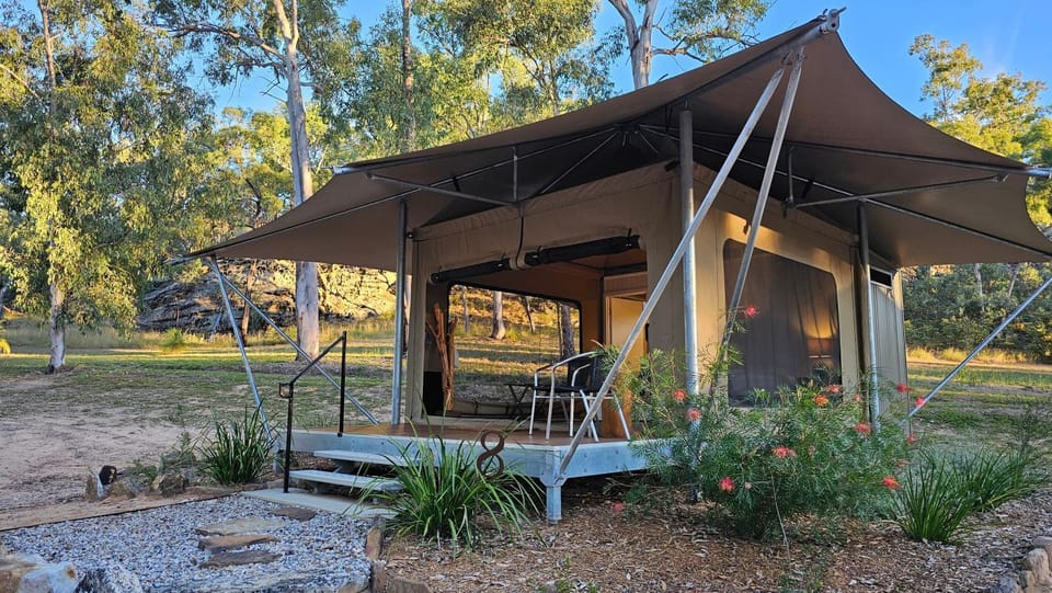 Wallaroo Outback Retreat - Glamping Tents Carnarvon Gorge Luxury tent in Queensland